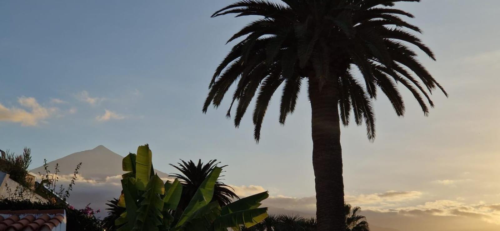 Lovely La Palmita